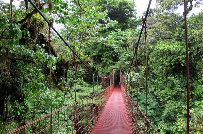 monteverde-bridge-costa-rica-card