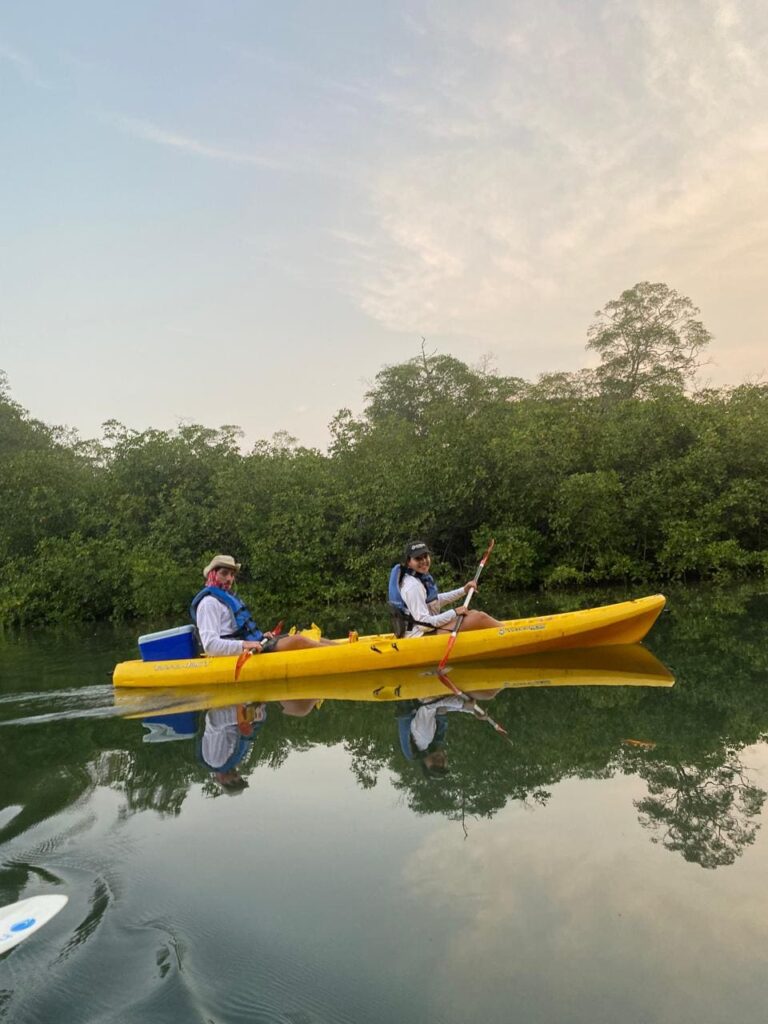 Kayaking in Tamarindo mangrove forest