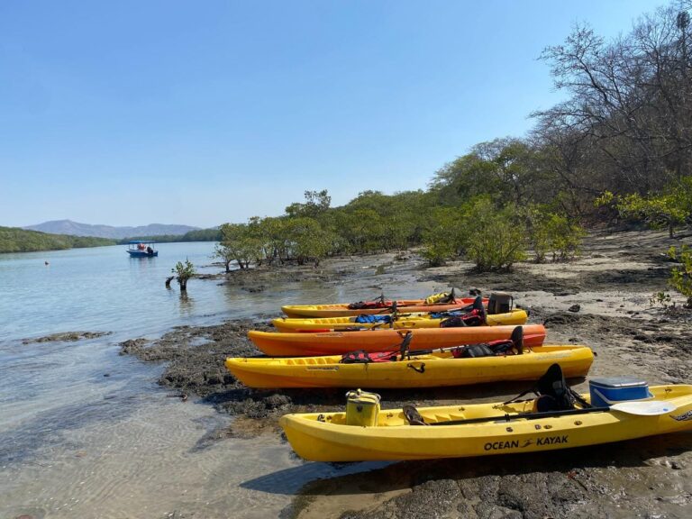 Kayaking tour in Tamarindo estuary Costa Rica