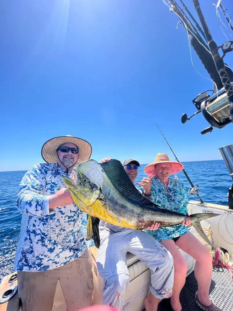 mahi-mahi-catch-sportfishing