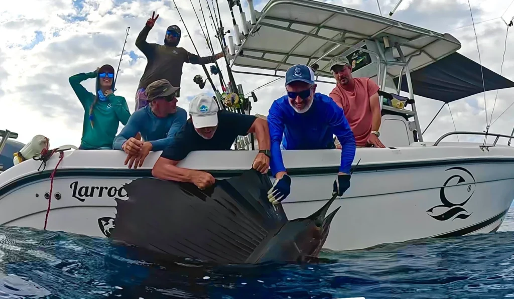 Sailfish caught in sportfishing charter in tamarindo Costa Rica