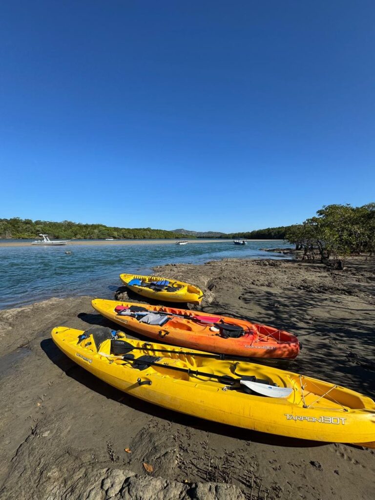 Kayak nature tour between Tamarindo and Flamingo
