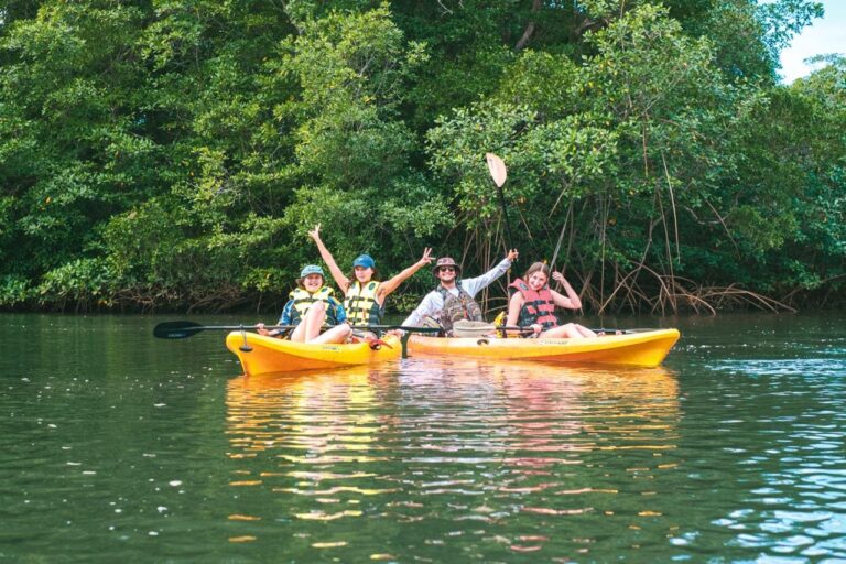Kayaking in Tamarindo estuary mangroves