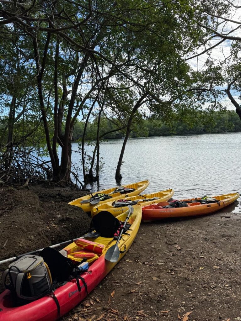 Tamarindo kayak wildlife tour