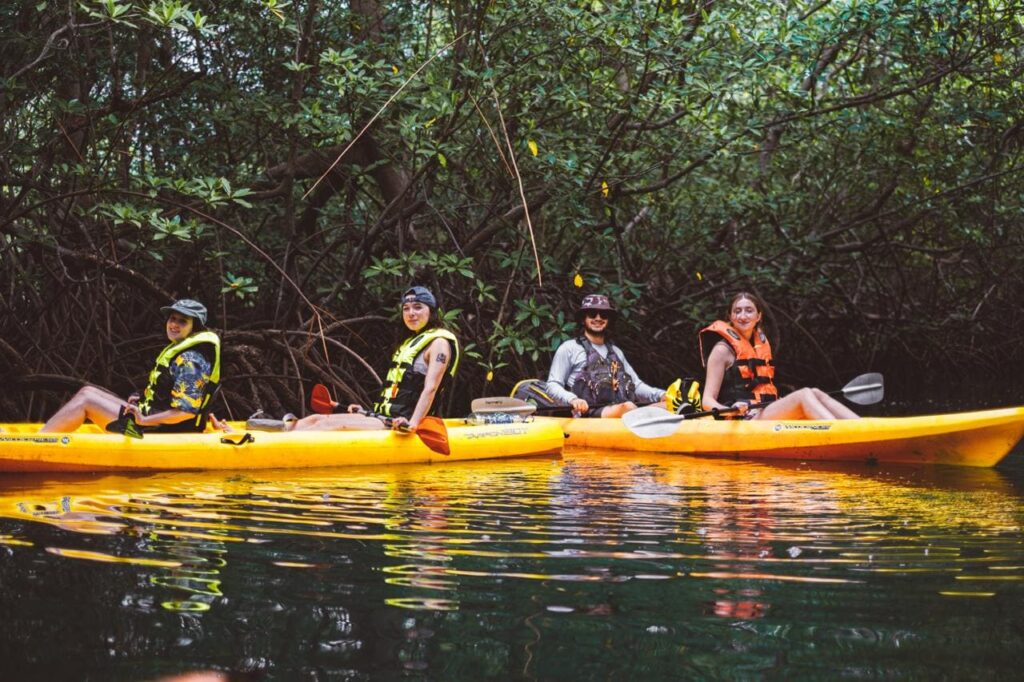 Kayaking wildlife tour in Tamarindo estuary