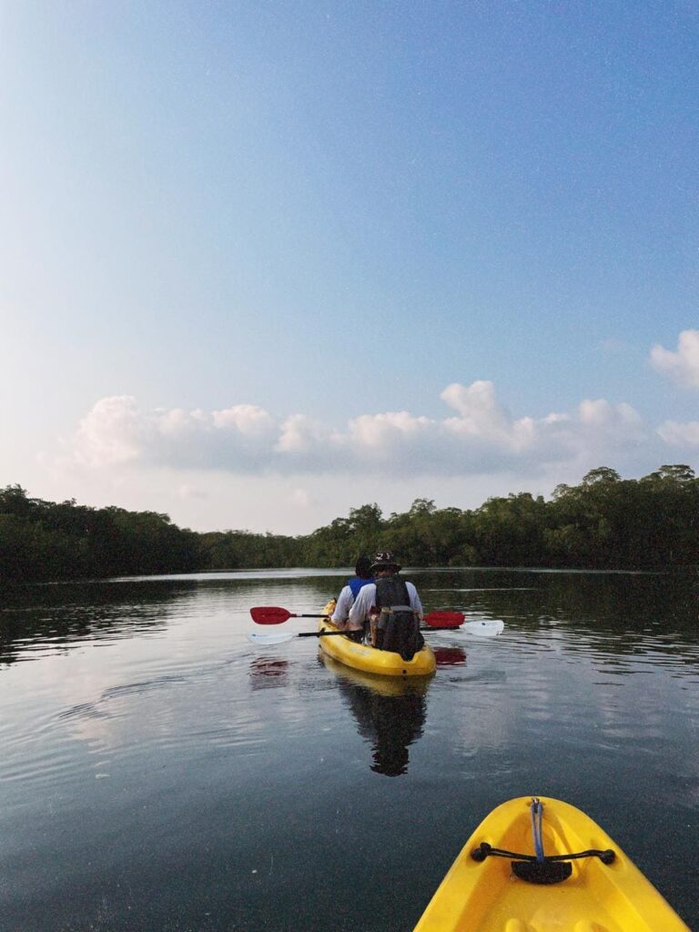 Mangrove kayaking experience in Tamarindo