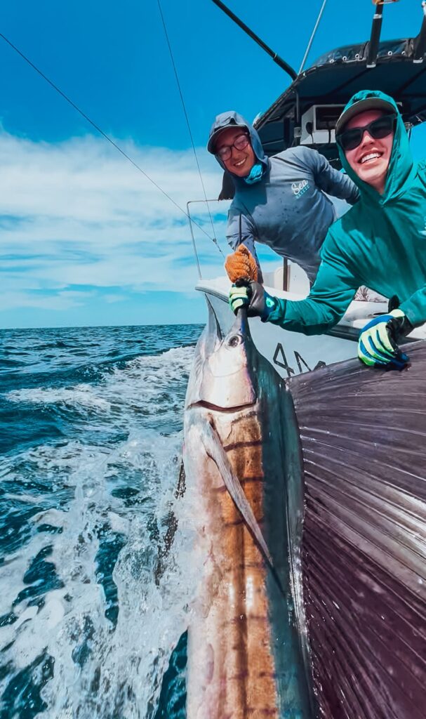 sailfish sport fishing costa rica offshore fishing action