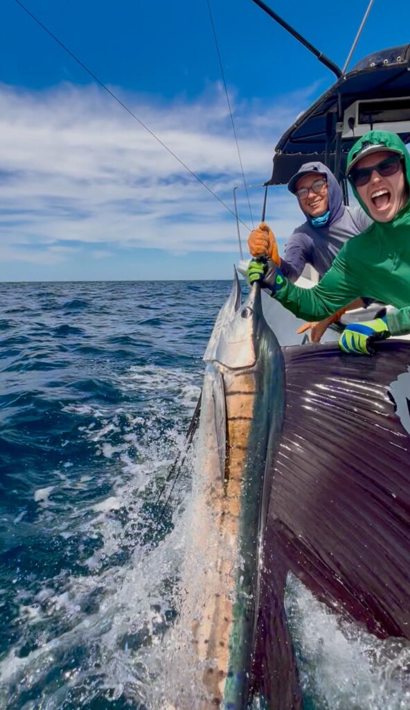 tamarindo sport fishing sailfish costa rica offshore