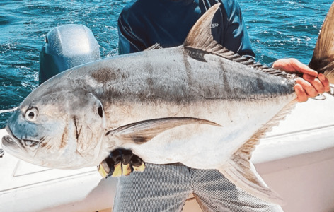 Jack crevale caught on a fishing charter in Tamarindo Costa Rica