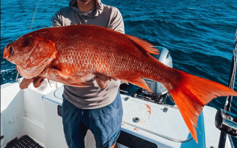 Red snapper caught during a fishing tour in Tamarindo Costa Rica