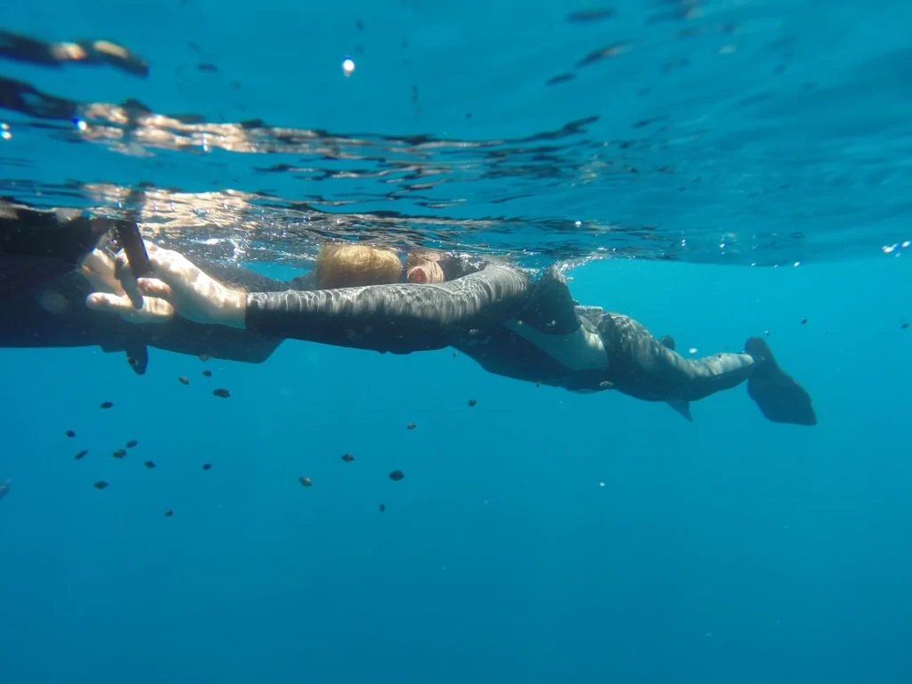 Freediver swimming near the surface