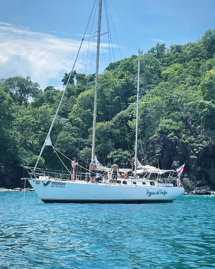 Pegasus sailboat beside a forested rocky coast in turquoise water near Flamingo