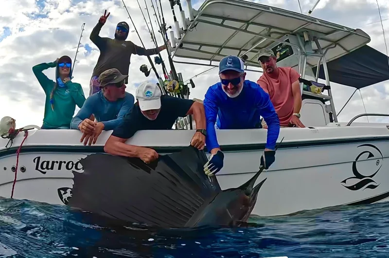 Sailfish caught in sportfishing charter in tamarindo Costa Rica