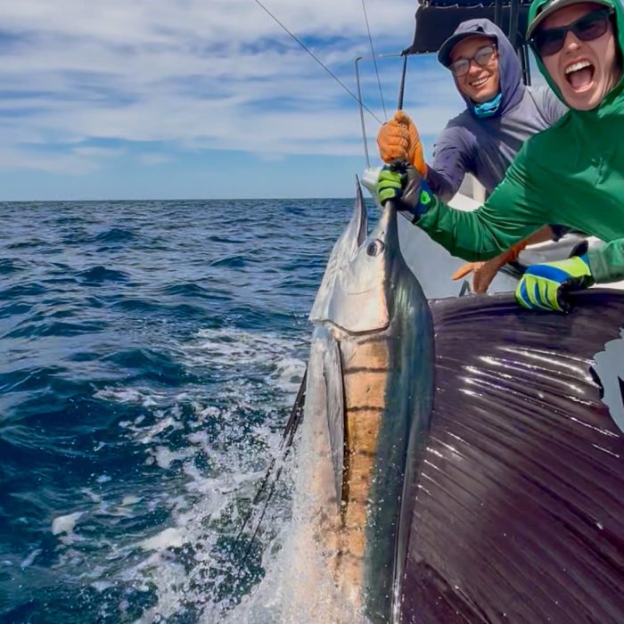 tamarindo sport fishing sailfish costa rica offshore