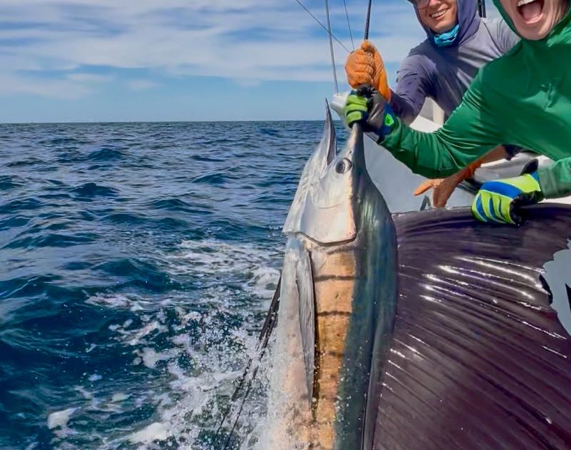 tamarindo sport fishing sailfish costa rica offshore