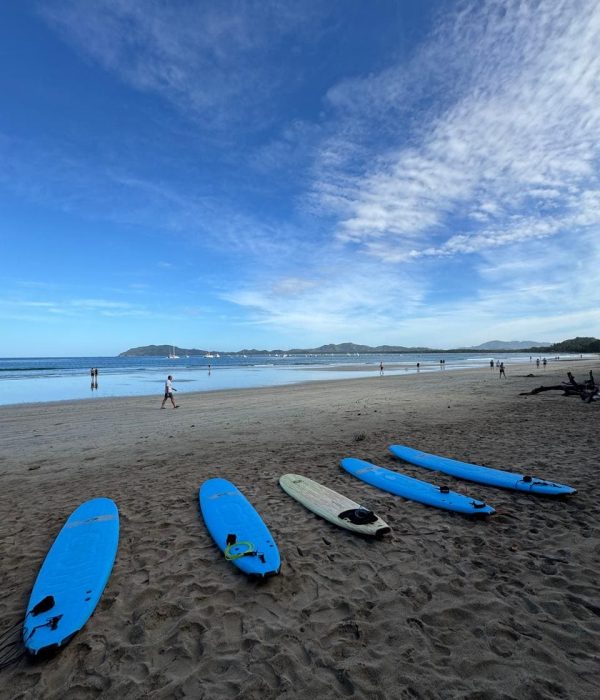 Surf lessons in Tamarindo Costa Rica for beginners