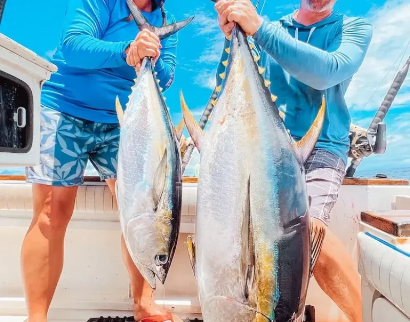 yellowfin caught Sport Fishing Costa Rica Offshore